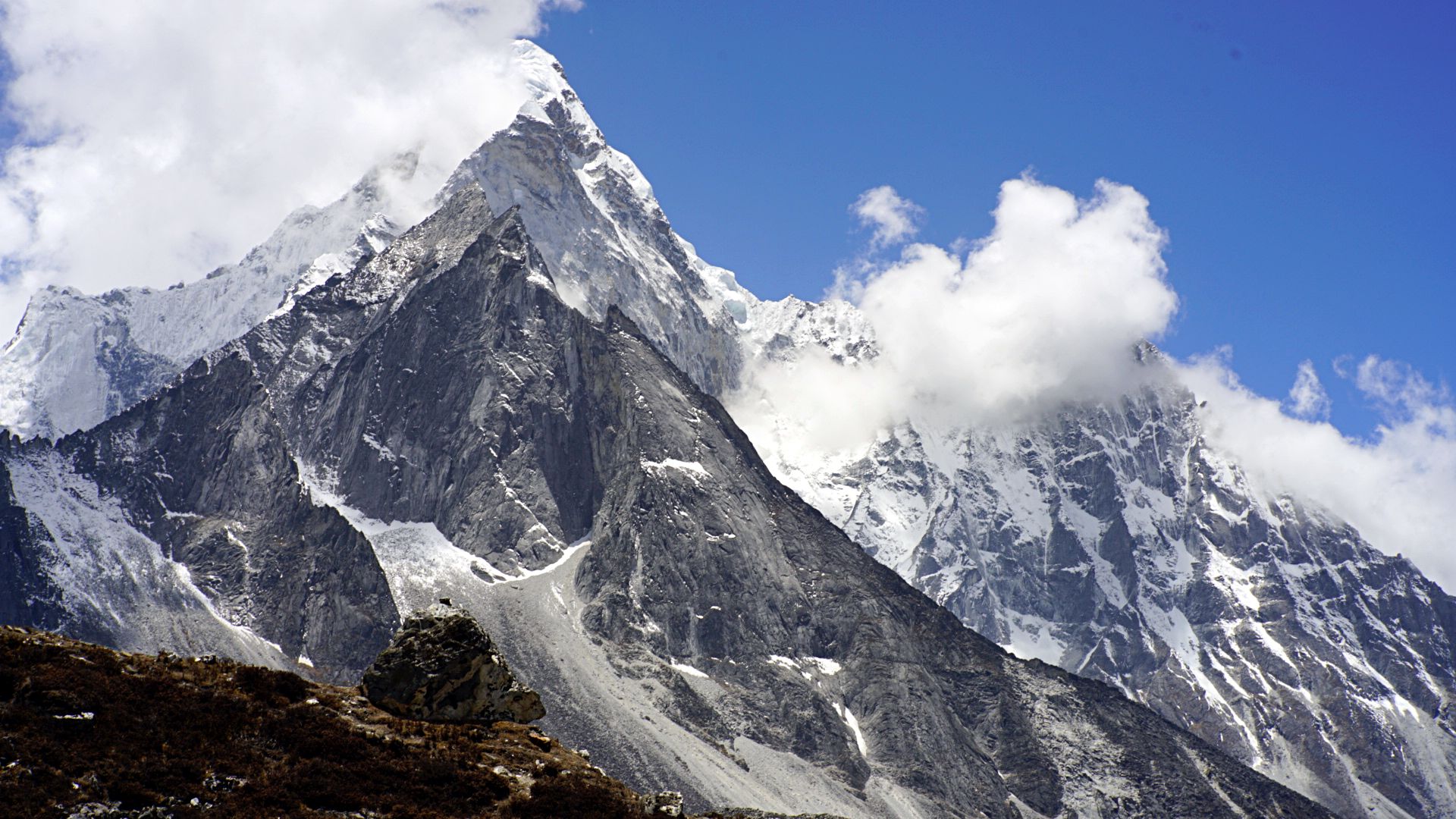 ϲ������ɽ��