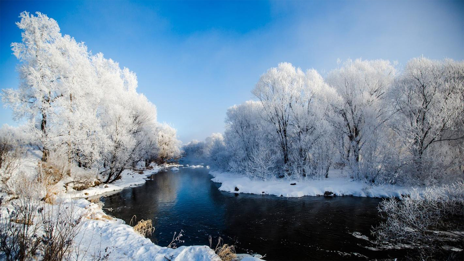 ����ʡ����ɽ��ڡ