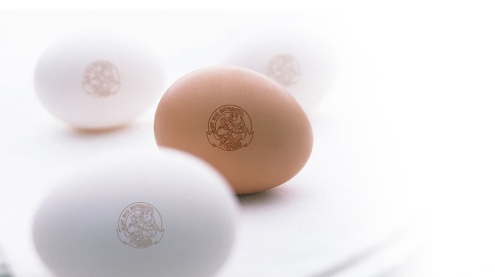 ����ϲ����������