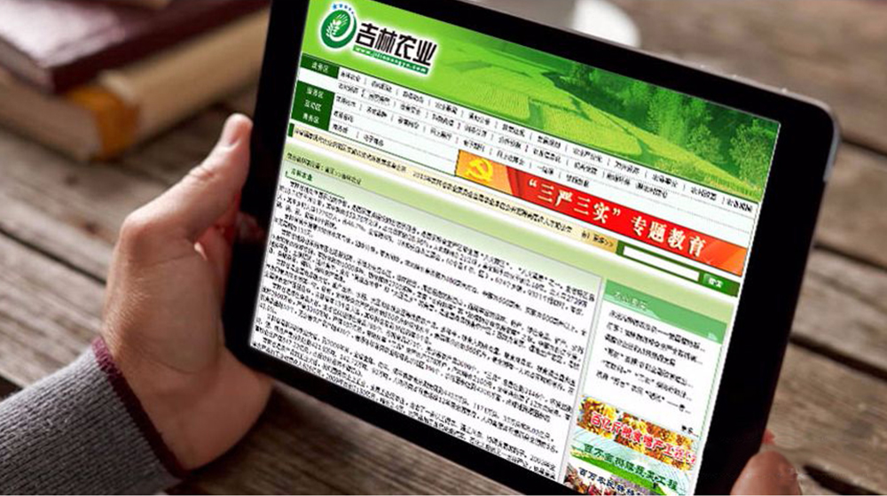 ����ũҵBI���