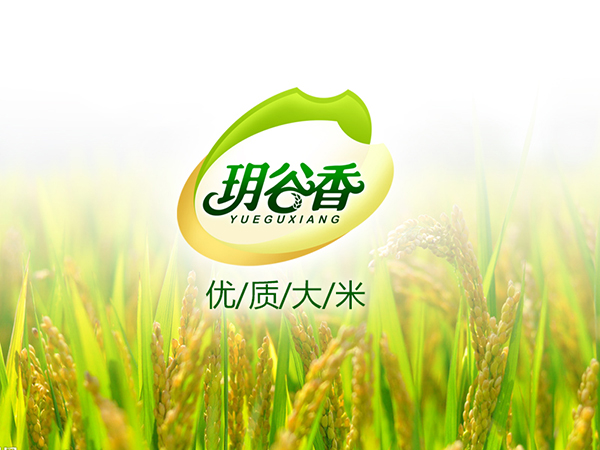 �h�������