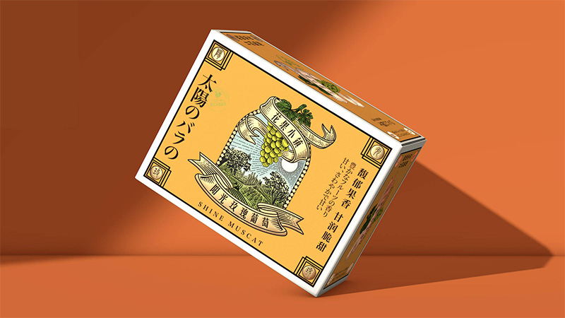 ������װ���