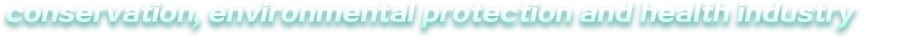 638109485862078843